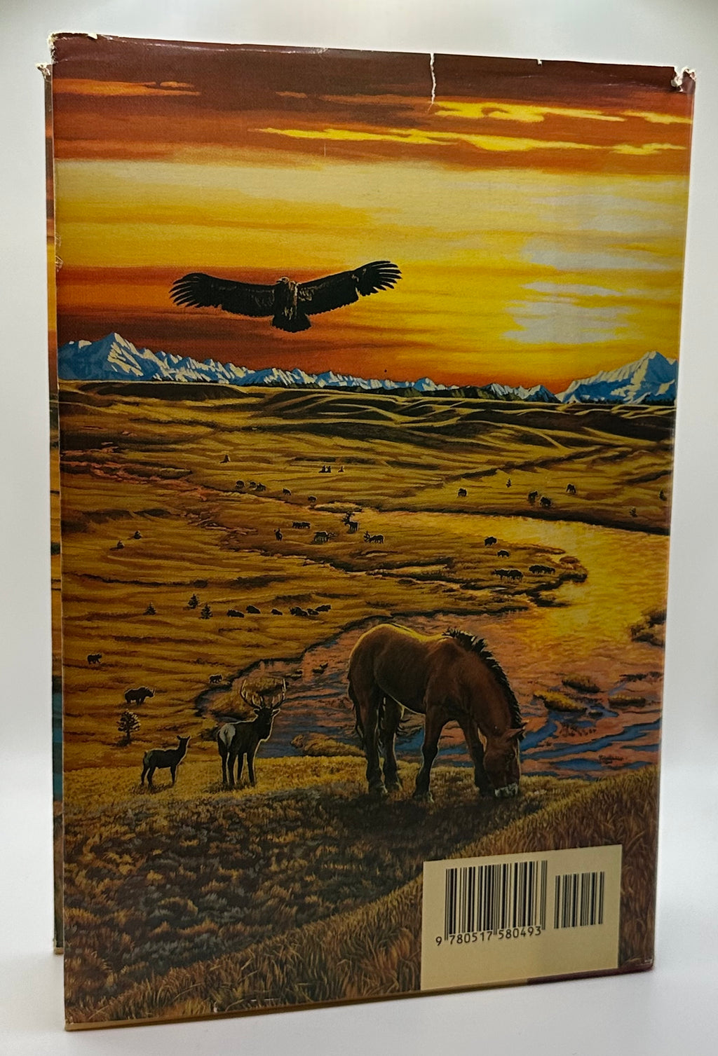 The Plains of Passage | Jean M. Auel