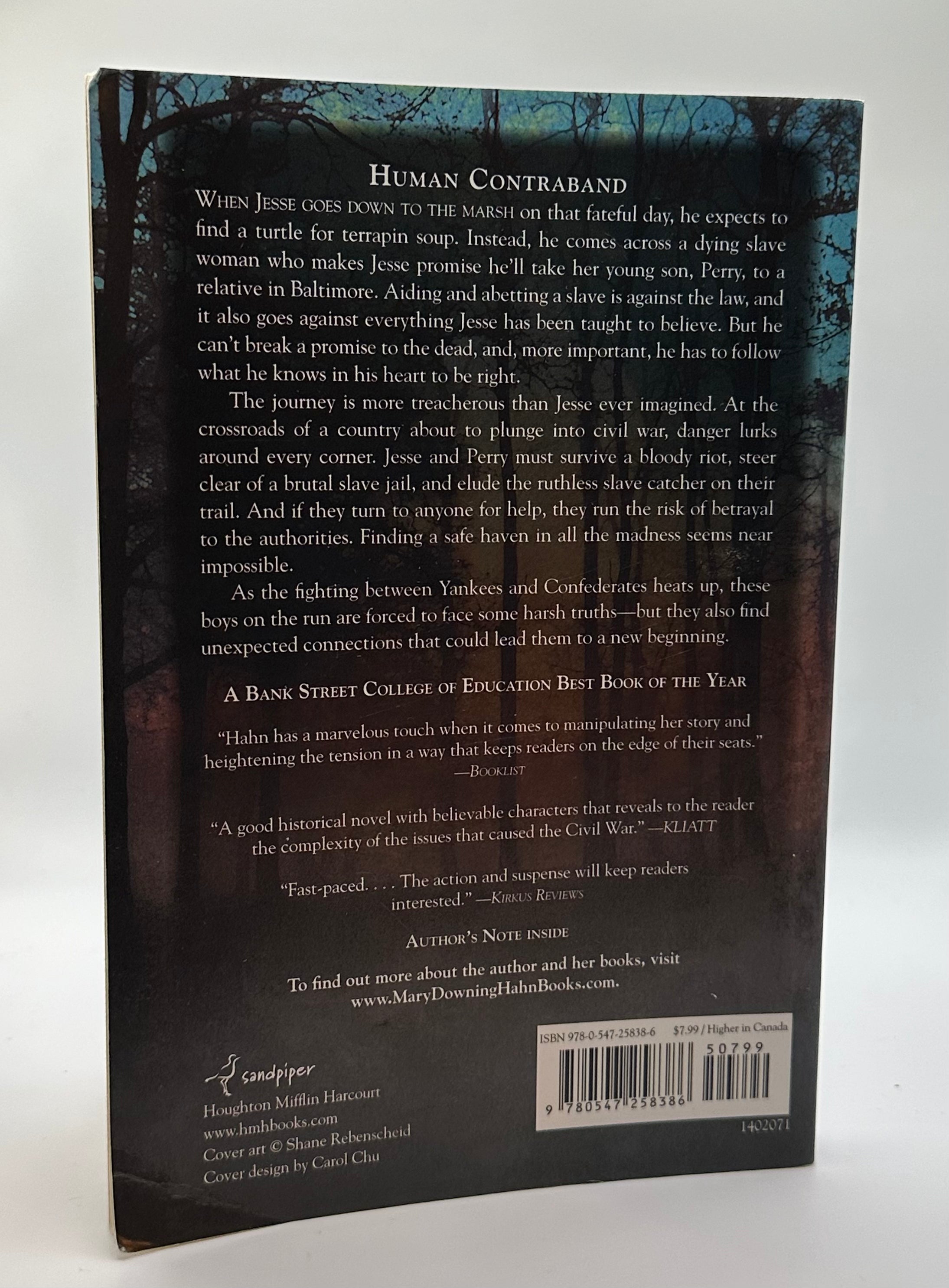 Promises to the Dead | Mary Downing Hahn