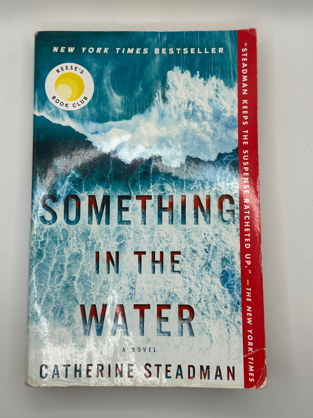 Something in the Water | Catherine Steadman