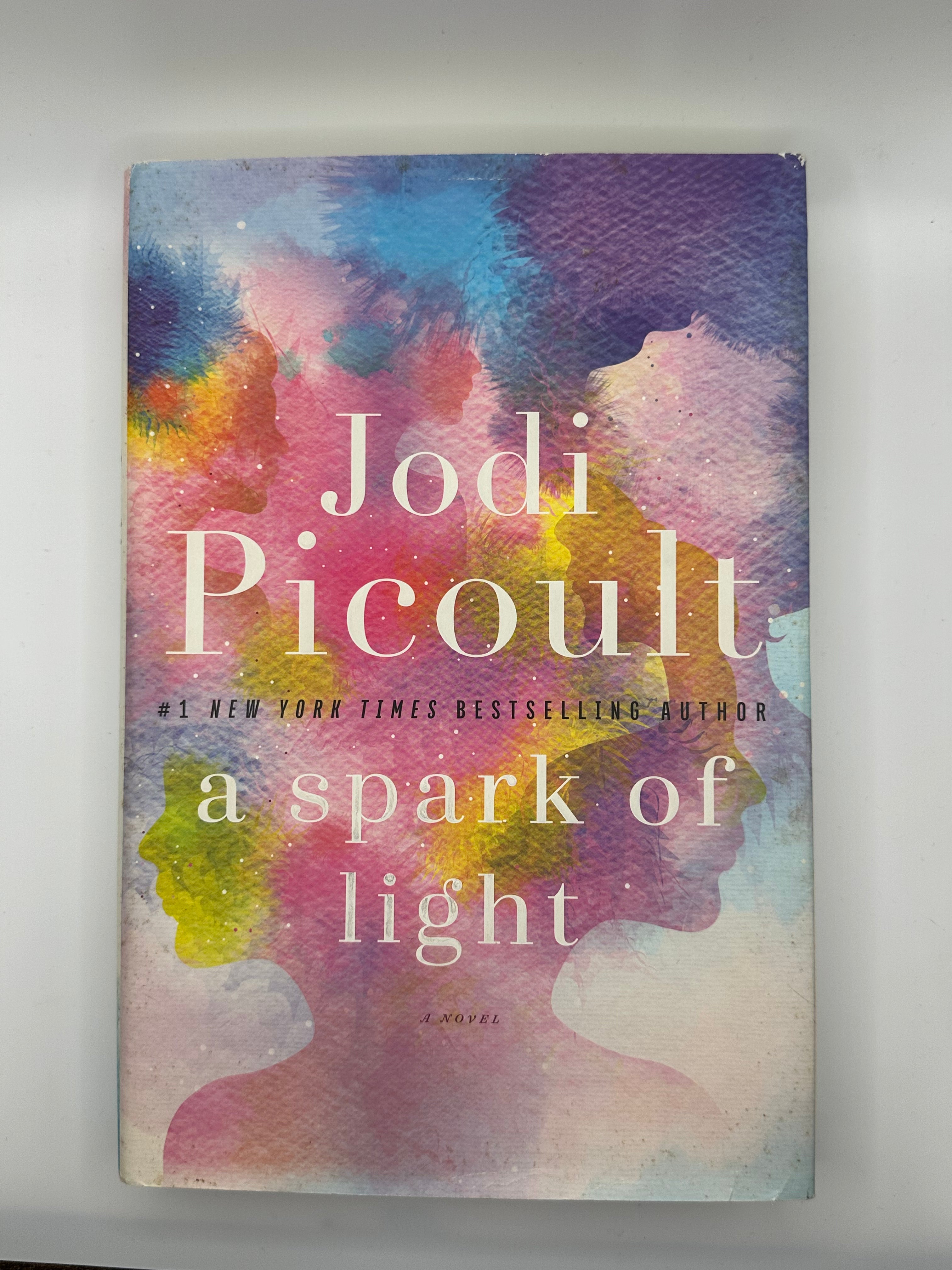 A Spark of Light | Jodi Picoult