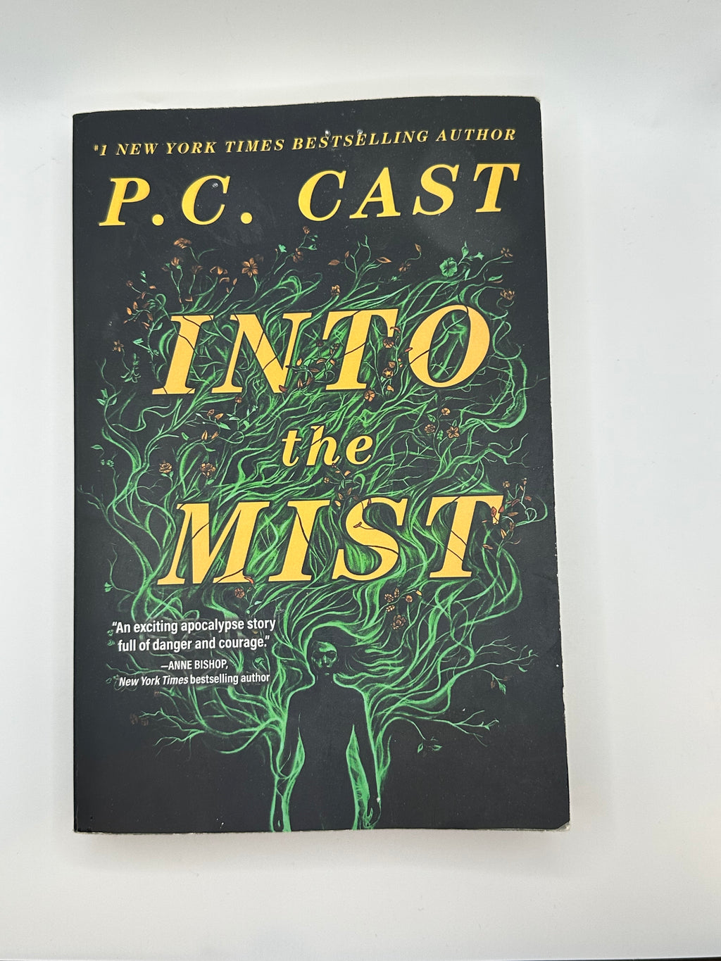 Into the Mist | P.C. Cast