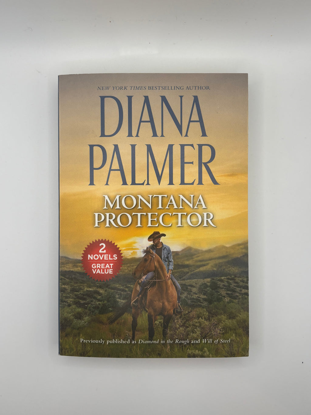 Montana Protector | Diana Palmer