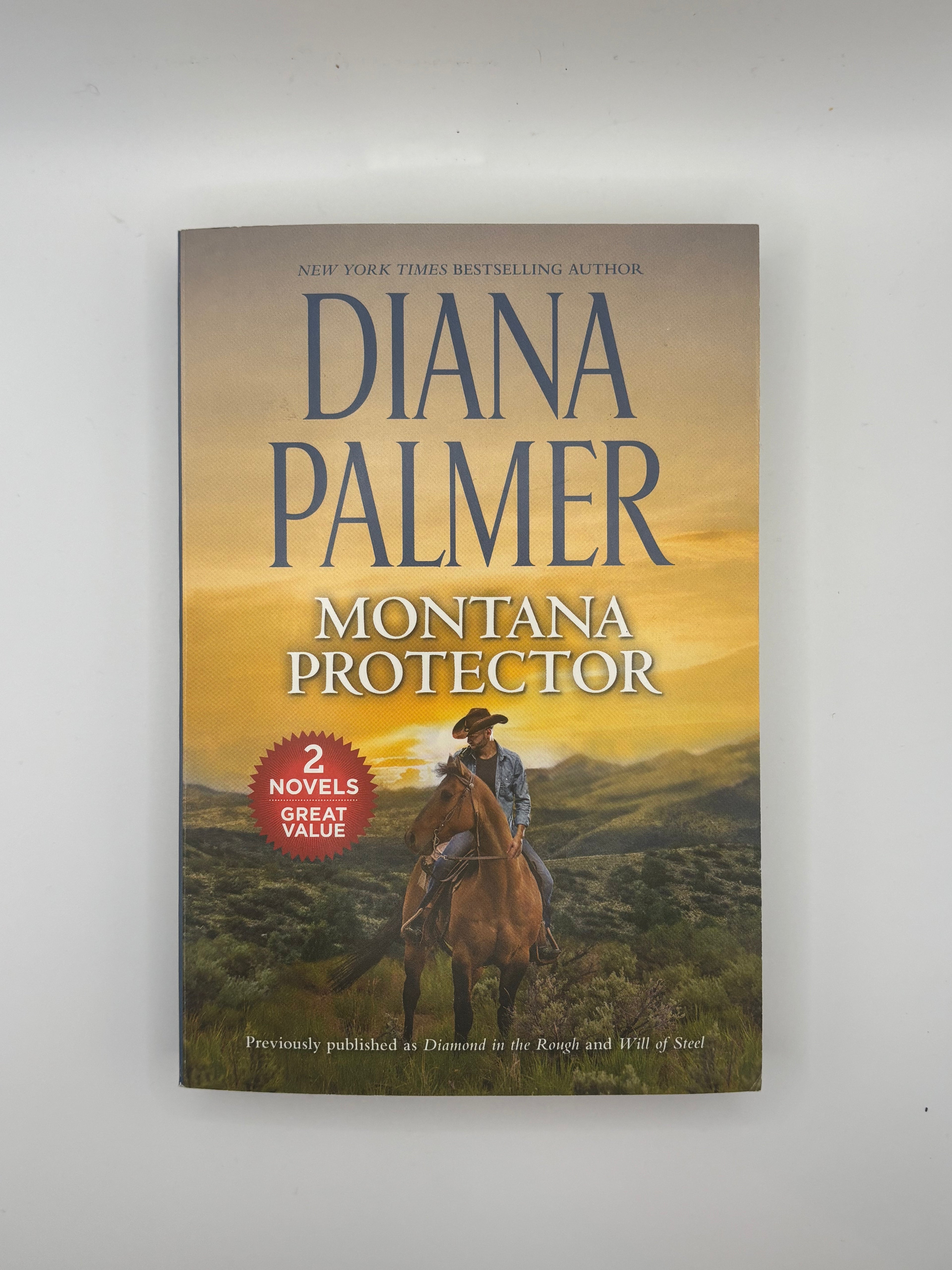Montana Protector | Diana Palmer