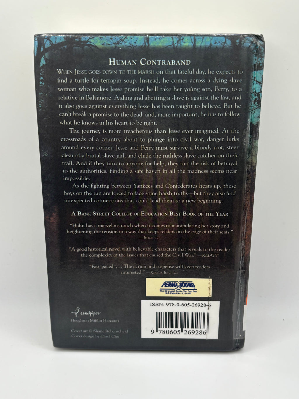 Promises to the Dead | Mary Downing Hahn