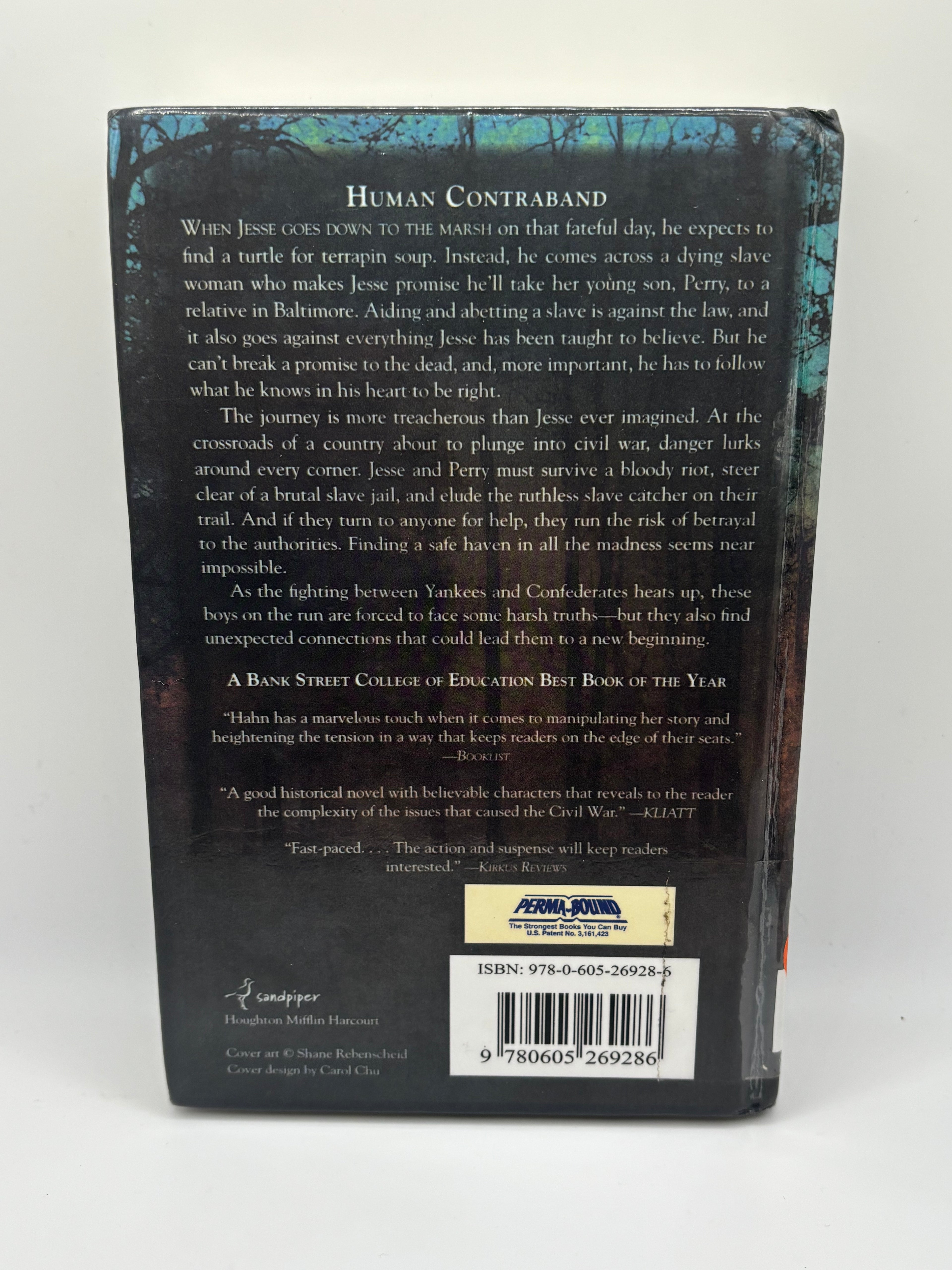 Promises to the Dead | Mary Downing Hahn