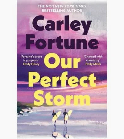 Our Perfect Storm | Carley Fortune